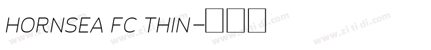 HORNSEA FC THIN字体转换